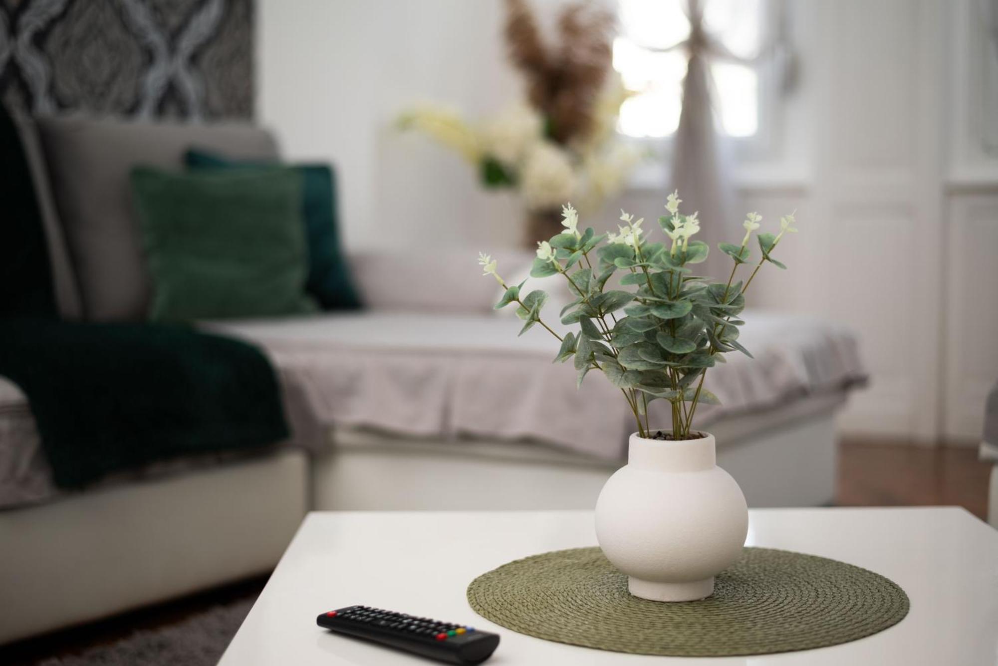 Apartment Primula Subotica Extérieur photo